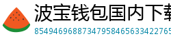 波宝钱包国内下载